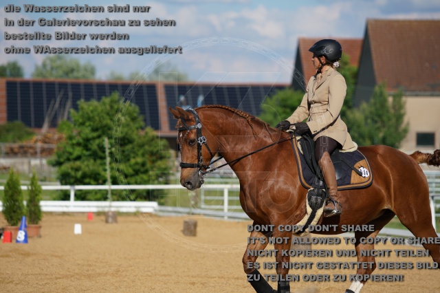 s_K3F05156.JPG
